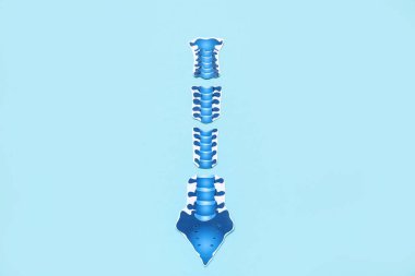 Mavi arkaplanda kağıt omurgası