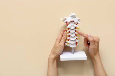 Bej arka planda omurga modeli olan kadın.