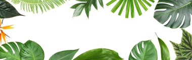 Beyaz arkaplanda farklı tropikal yapraklara sahip pankart ve metin için boşluk