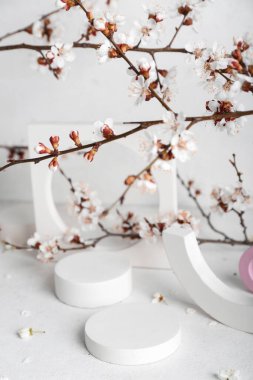 Beyaz masanın üzerinde çiçek açan dalları olan podyumlar. Merhaba bahar.