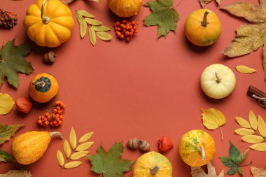 Olgun balkabaklarından yapılmış çerçeve ve renk arka planında doğal orman dekoru