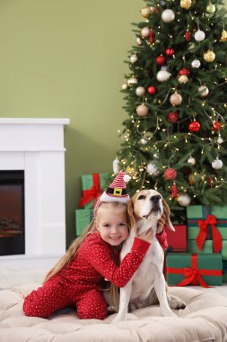 Noel arifesinde evde Beagle köpeğine sarılan tatlı küçük kız.