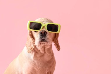 Pembe arka planda 3D gözlüklü şirin Cocker Spaniel.