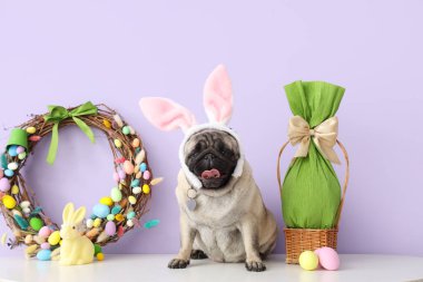 Tavşan kulaklı sevimli pug dog ve masada eflatun arka planda Paskalya dekoru