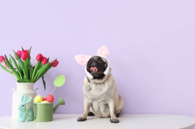 Paskalya yumurtaları ve laleler ile tavşan kulaklı şirin pug sosisli sandviç.