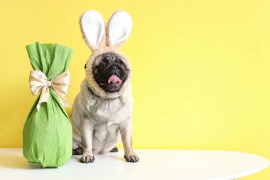 Tavşan kulaklı sevimli pug dog ve sarı arka planda Paskalya hediyesi yumurtası.