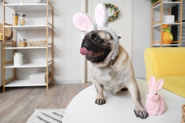 Tavşan kulaklı sevimli pug dog ve evde Paskalya tavşanı var.