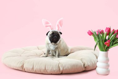 Tavşan kulaklı sevimli pug dog ve pembe arka planda laleleri olan vazo. Paskalya kutlaması