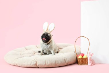 Tavşan kulaklı sevimli pug dog, Paskalya tavşanı, yumurta ve pembe arka planda boş poster