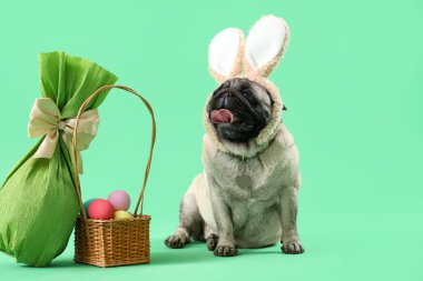 Yeşil arka planda Paskalya yumurtaları olan tavşan kulaklı sevimli pug dog.