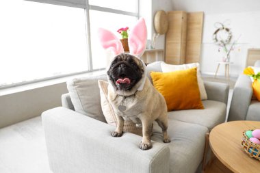 Evdeki kanepede tavşan kulaklı sevimli köpek. Paskalya kutlaması