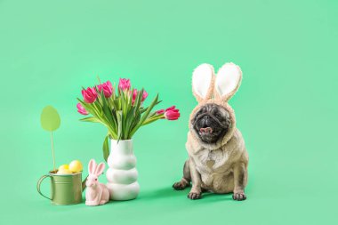 Tavşan kulaklı sevimli pug dog, Paskalya tavşanı, yeşil arka planda yumurta ve lale