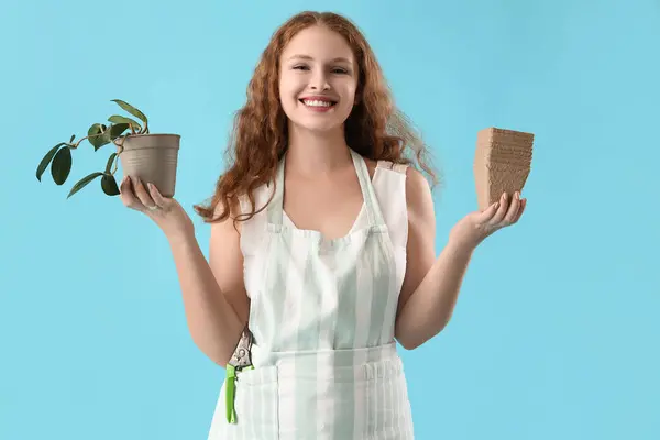 Female gardener with plant and pots on blue background