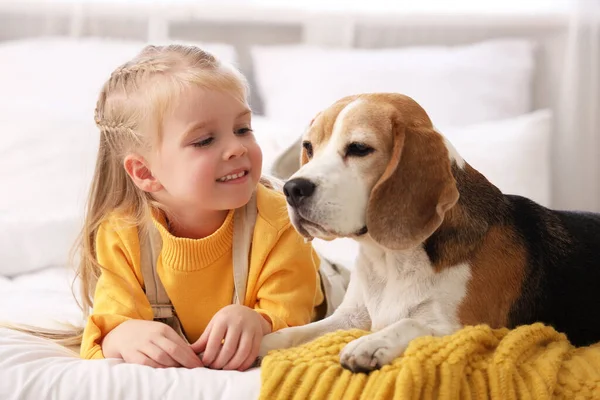 Yatak odasında Beagle köpeğiyle küçük şirin bir kız, yakın plan.
