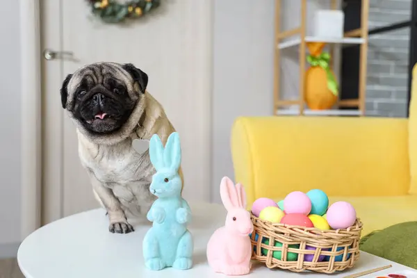 Cute pug dog with Easter rabbits and eggs on table at home