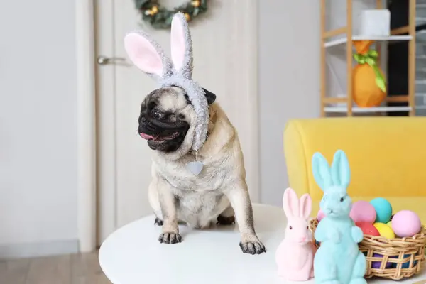 Cute pug dog in bunny ears with Easter rabbits and eggs on table at home