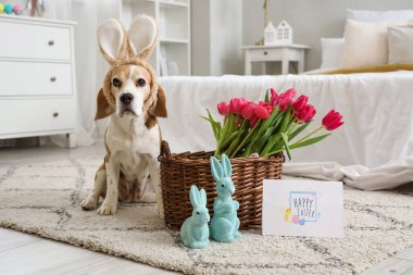 Paskalya tavşanları, kart ve laleleri olan sevimli Beagle köpeği yatak odasında.