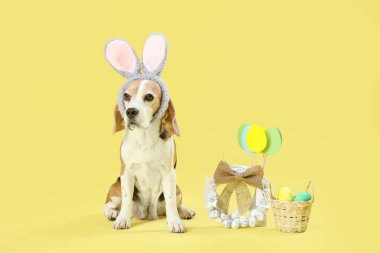 Tavşan kulaklı şirin Beagle köpeği. Sarı arka planda Paskalya yumurtası ve çelengi var.