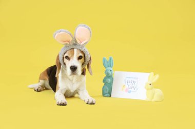Tavşan kulaklı şirin Beagle köpeği, Paskalya tavşanları ve sarı arka planda tebrik kartı.