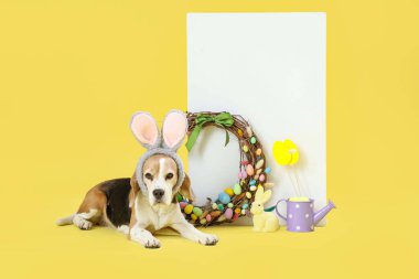 Paskalya dekoru ve sarı arka planda boş posteriyle tavşan kulaklı sevimli Beagle köpeği.
