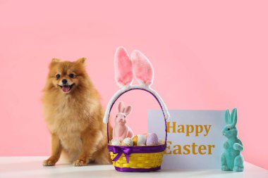 Paskalya tavşanları, yumurtaları ve kartları pembe arka planda olan şirin Pomeranya köpeği.