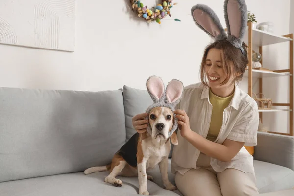 Fiatal Aranyos Beagle Kutya Nyuszifül Otthon Húsvét Napján — Stock Fotó