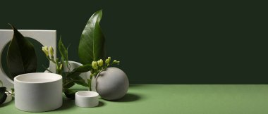 Alçı podyumlar ve yeşil yapraklar koyu yeşil arka planda çiçekler ve metin için boşluk