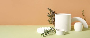 Renk arkaplanı üzerine alçı podyumlar ve yeşil dallar metin için alan