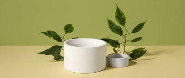 Alçı podyumlar ve yeşil arkaplanda yapraklar