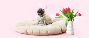 Tavşan kulaklı ve pembe arka planda laleleri olan sevimli bir köpek. Paskalya kutlaması