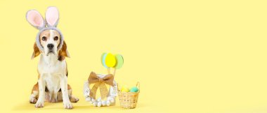 Tavşan kulaklı sevimli Beagle köpeği, sarı arka planda Paskalya yumurtası ve çelenk, mesaj için yer var.