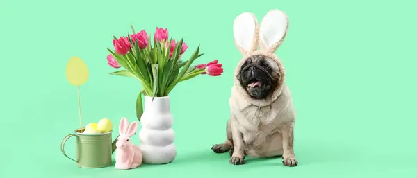 Cute Pug Dog Bunny Ears Easter Eggs Tulips Green Background — Stock Photo, Image