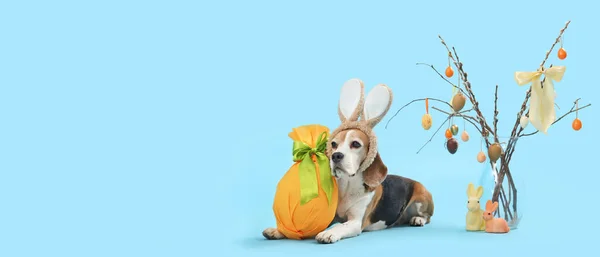 Cute Beagle Dog Bunny Ears Easter Gift Willow Branches Light — Stock Photo, Image