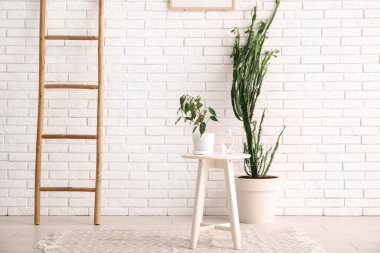 Büyük bir kaktüs, merdiveni ve beyaz tuğla duvarın yanında dekorasyonu var.