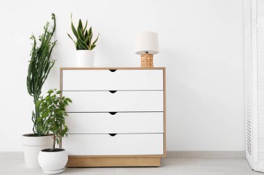 Büyük kaktüslü ev bitkileri, klozet ve lamba beyaz duvarın yanında.