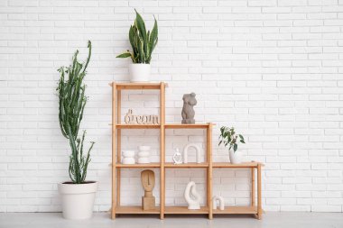 Büyük kaktüslü ev bitkileri, raf ünitesi ve beyaz tuğlalı duvarın yanındaki ev dekorasyonu.