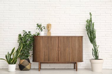 Ev bitkileri, ev dekorasyonu ve klozeti olan büyük bir kaktüs. Odadaki beyaz tuğla duvarın yanında.