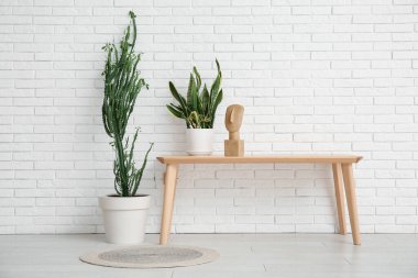 Ev bitkisi, dekor ve beyaz tuğla duvarın yanındaki masa olan büyük bir kaktüs.