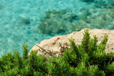 Güneşli bir günde kayalıkları olan güzel bir sahil.