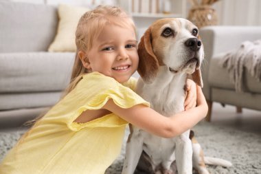 Sevimli küçük kız evde Beagle köpeğine sarılıyor, yakın plan.