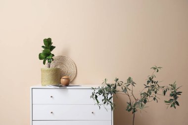 Beyaz çekmeceler, ev bitkisi ve bej duvarın yanında hava nemlendirici.