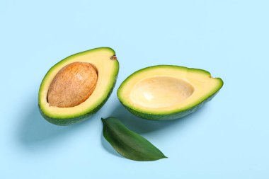 Taze taze avokado ve mavi arka planda yaprak.