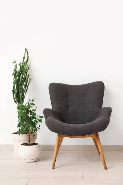 Big cactus with houseplant and armchair near white wall in room