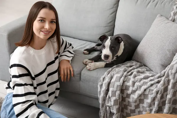 Evdeki kanepede şirin bir teriyer köpeği olan güzel bir genç kadın.