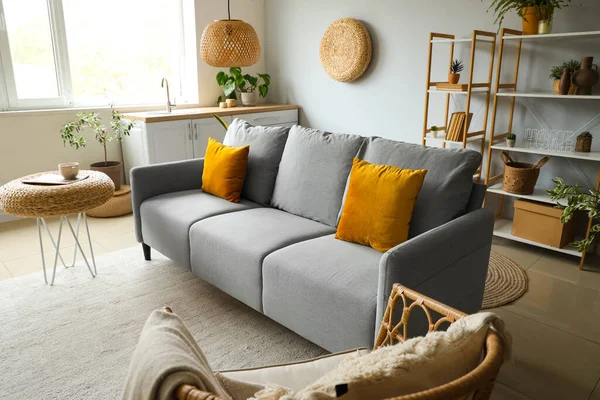 Işıl ışıl oturma odasının içinde rahat gri kanepe, sandalye, ev bitkileri ve hasır puflar