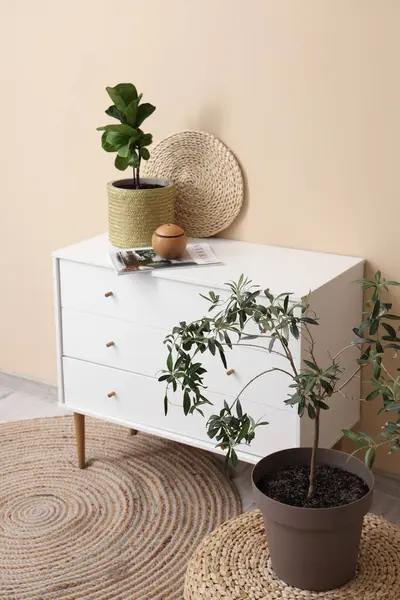 Beyaz çekmeceler, ev bitkisi ve bej duvarın yanında hava nemlendirici.
