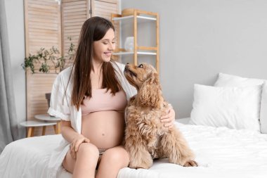 Cocker Spaniel köpeği olan hamile bir kadın yatak odasında oturuyor.