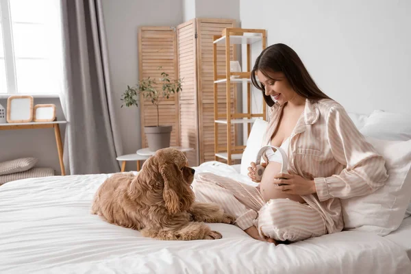 Kulaklıklı hamile bir kadın ve yatak odasında oturan tatlı bir cocker spaniel.