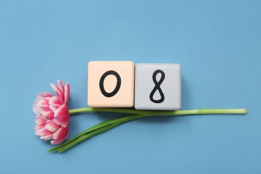 Küp takvimi, tarih 08 ve mavi arka planda güzel bir lale. Uluslararası Kadınlar Günü