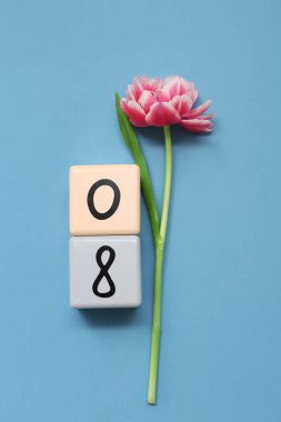 Küp takvimi, tarih 08 ve mavi arka planda güzel bir lale. Uluslararası Kadınlar Günü